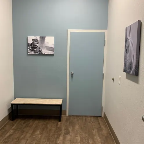 Exam room at All Creatures Animal Clinic